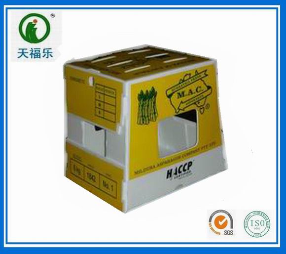 （新）黄色印刷芦笋包装箱.jpg