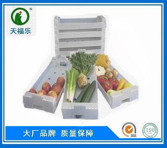 蔬菜箱.jpg